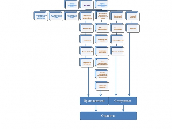 Структура и органы управления образовательной организацией